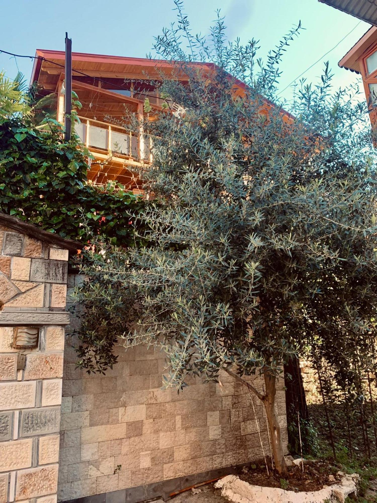 Alimeti Guesthouse Berati Exterior foto