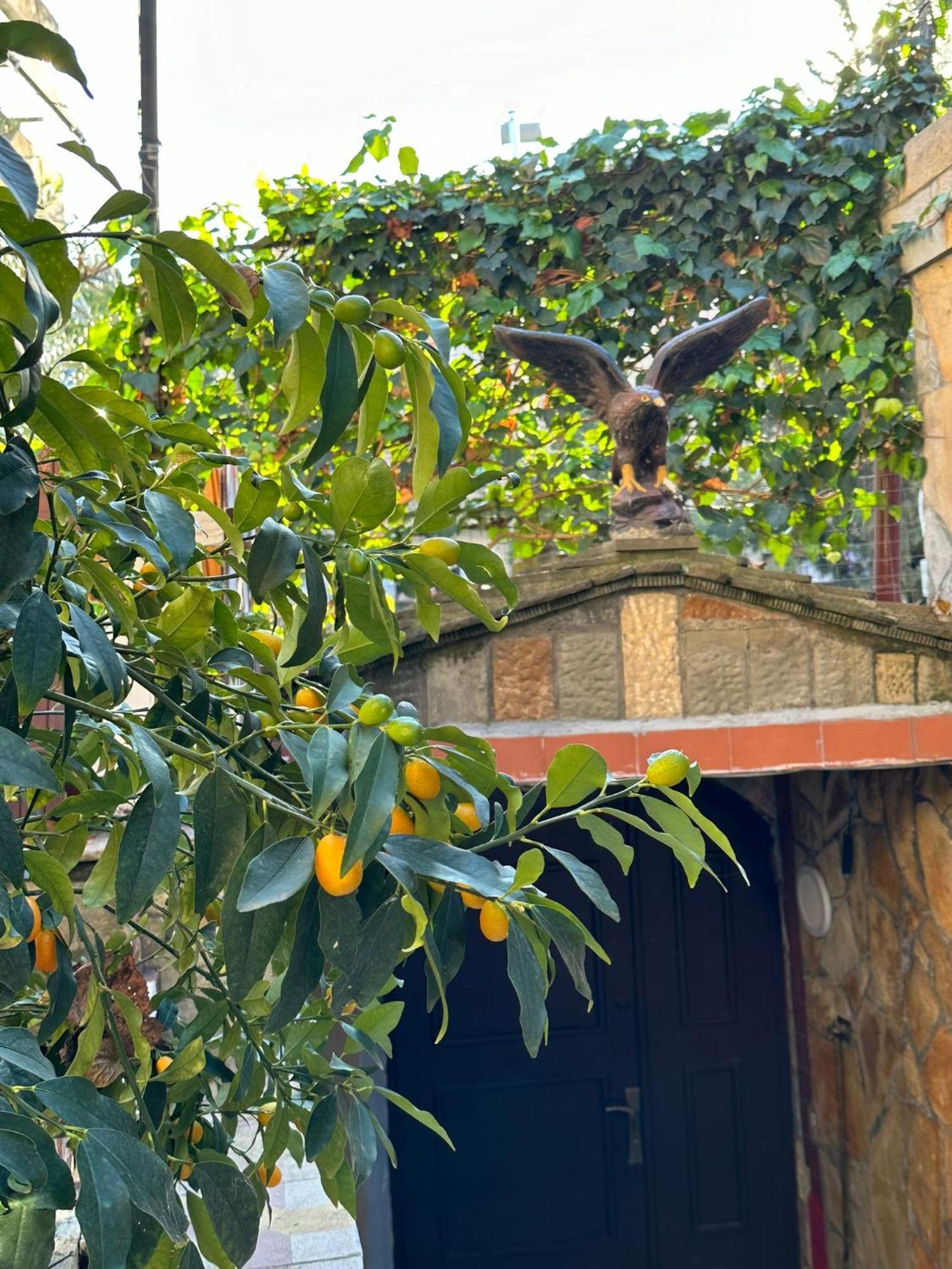 Alimeti Guesthouse Berati Exterior foto